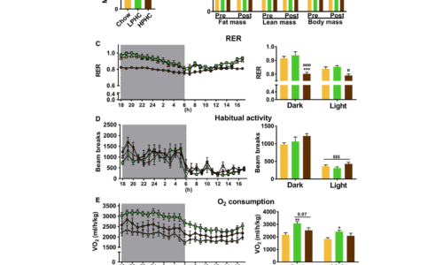 Proteína e insulina: gráficos de composição corporal e taxa metabólica nos grupos de dieta