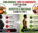 Coma gorduras corte carboidratos evite beliscar para reverter obesidade e diabetes tipo 2